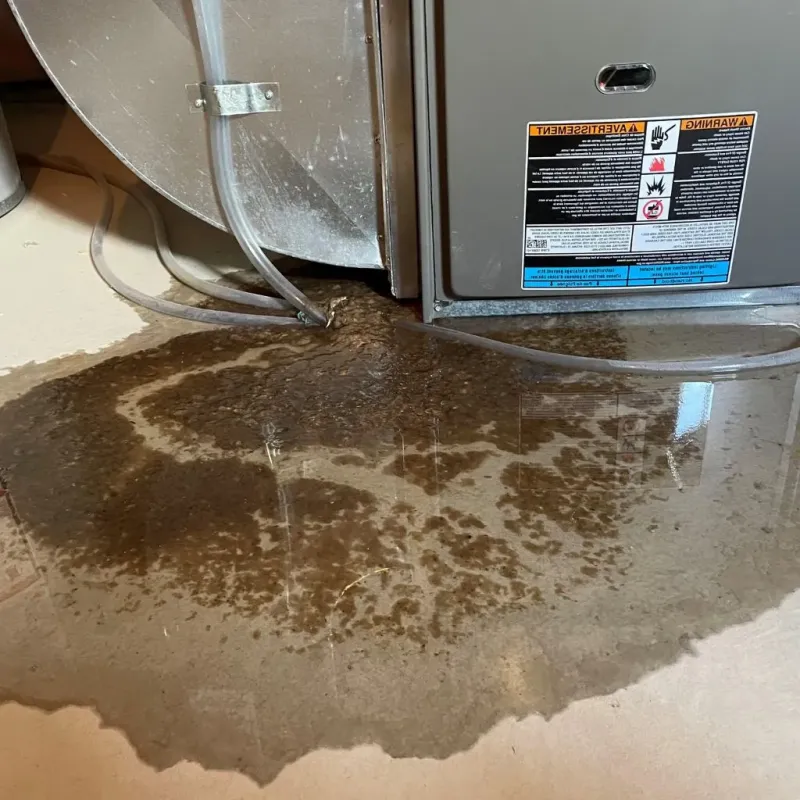 Pipe Burst and Leak Restoration in New Shoreham, RI