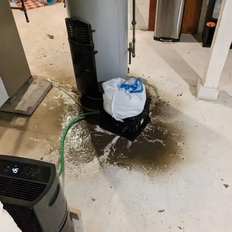 Sewage Backup Cleanup Service in New Shoreham, RI
